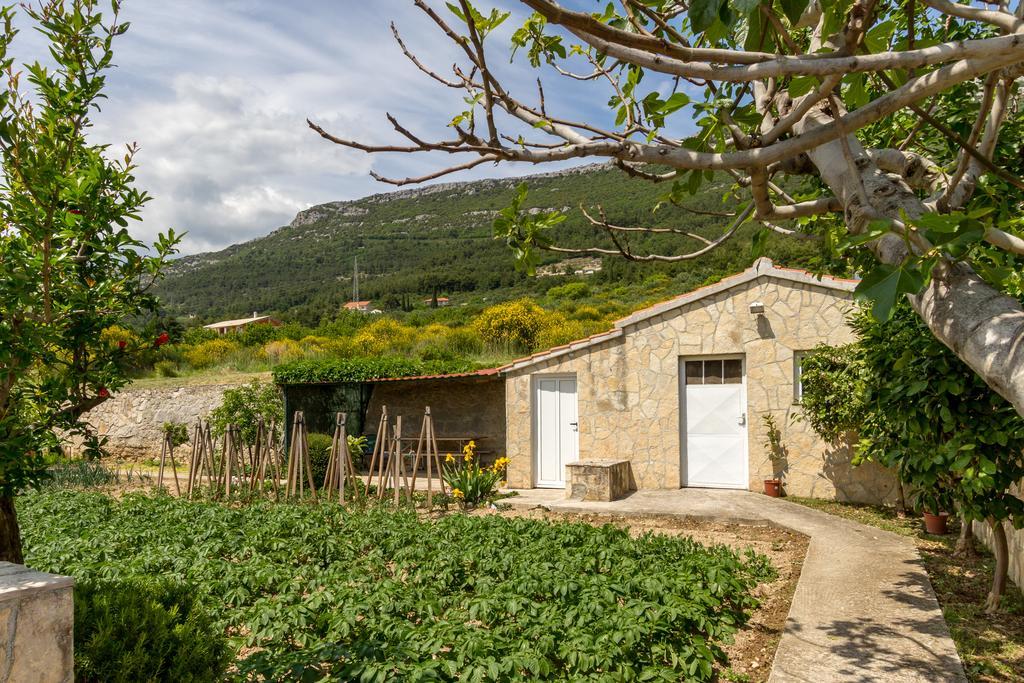 Panorama Holidays Kastel Stari Luaran gambar